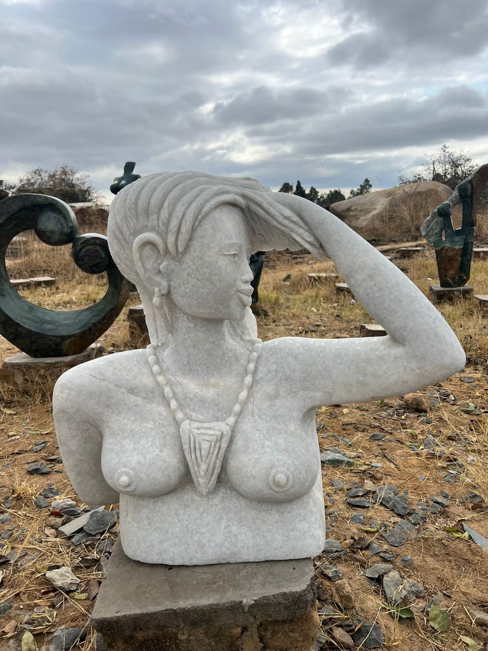 Torso Bust