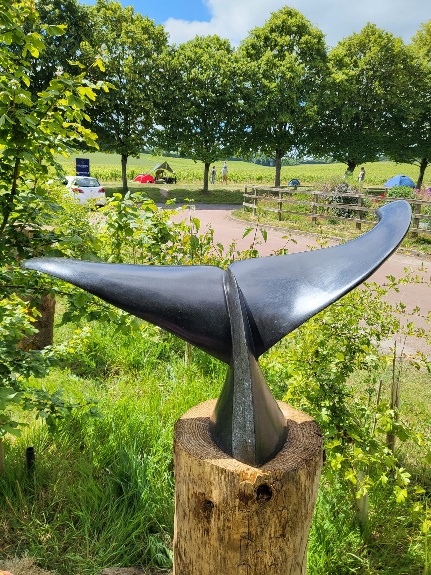 Whale Tale